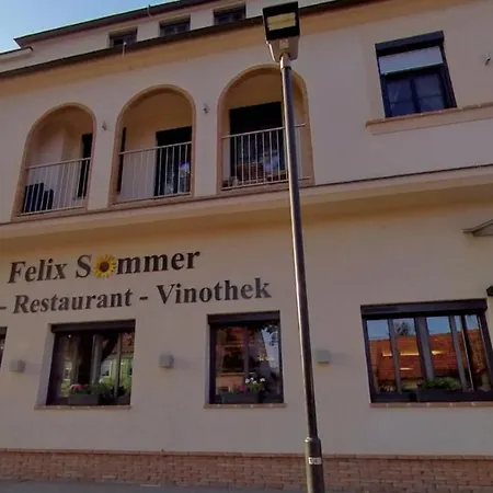 Hotel-restaurant-vinothek Felix Sommer 호텔 Auersthal