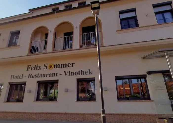 Hotel-restaurant-vinothek Felix Sommer Hotel Auersthal